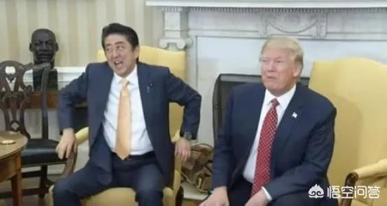 日本发表混乱外交蓝皮书