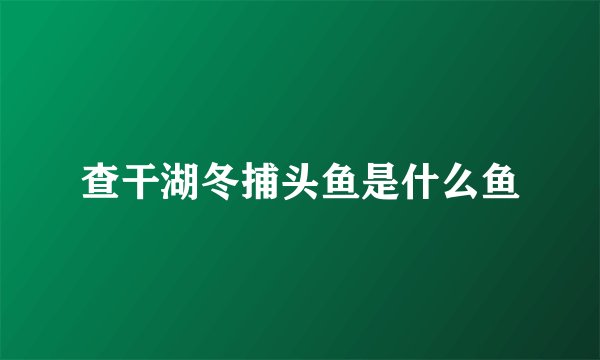 查干湖冬捕头鱼是什么鱼