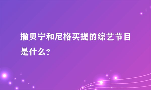 撒贝宁和尼格买提的综艺节目是什么?