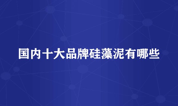 国内十大品牌硅藻泥有哪些