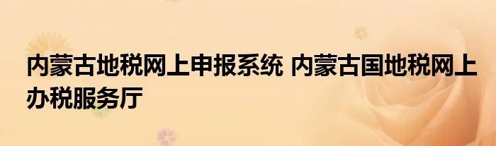 内蒙古地税网上申报系统 内蒙古国地税网上办税服务厅