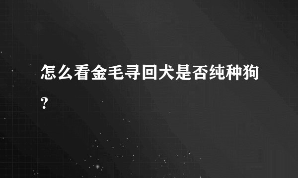 怎么看金毛寻回犬是否纯种狗？