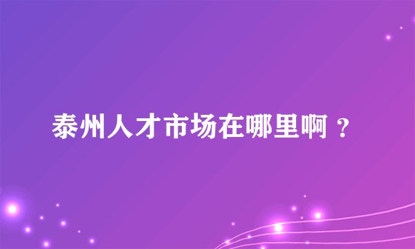 泰州人才市场在哪里啊 ？