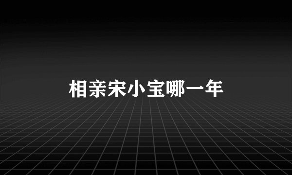 相亲宋小宝哪一年