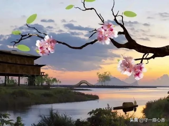 穆里奇选择与沧州雄狮解约因为长期无法与家人见面