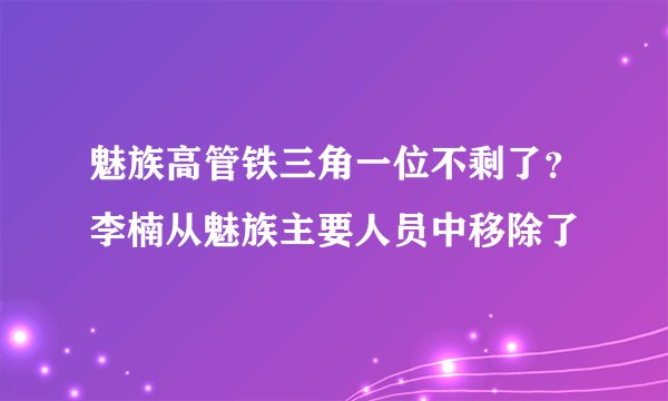魅族高管铁三角一位不剩了?李楠从魅族主要人员中移除了