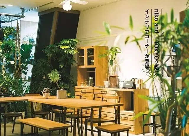 Hanako|家居美学的充电站:来10家东京杂货店逛一逛