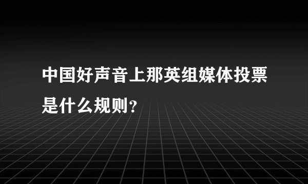 中国好声音上那英组媒体投票是什么规则？