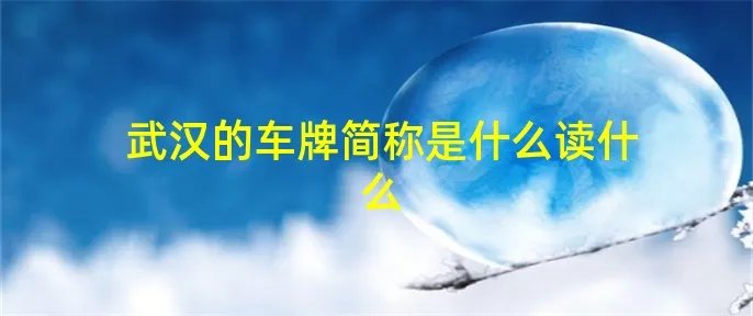 武汉的车牌简称是什么读什么
