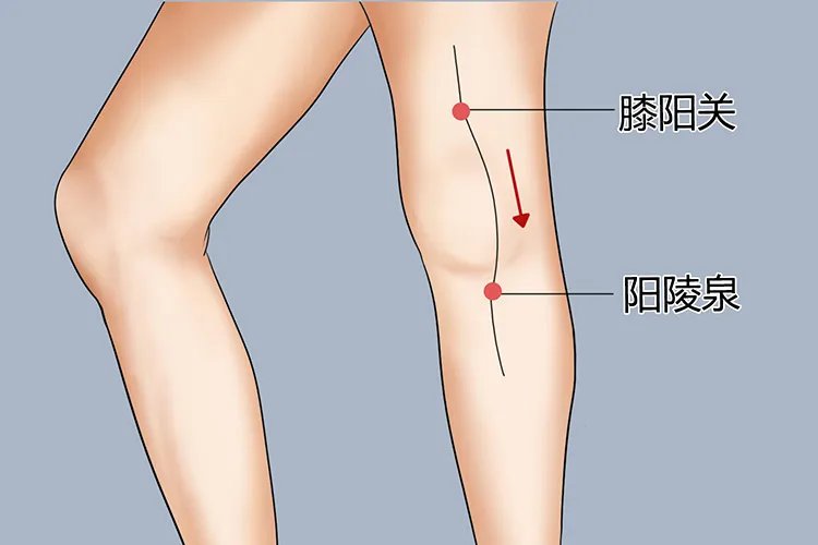 阳关的准确位置和作用