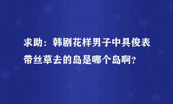 求助：韩剧花样男子中具俊表带丝草去的岛是哪个岛啊？