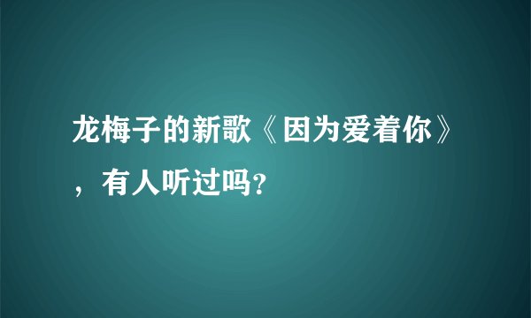 龙梅子的新歌《因为爱着你》，有人听过吗？