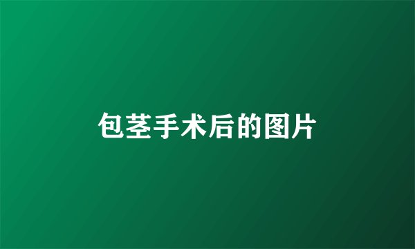 包茎手术后的图片