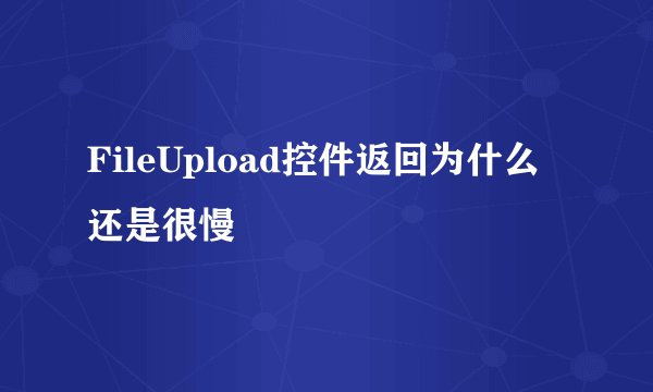 FileUpload控件返回为什么还是很慢