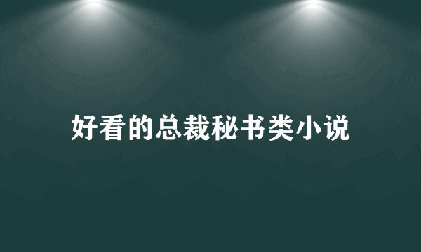 好看的总裁秘书类小说