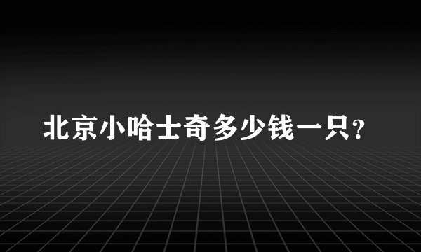 北京小哈士奇多少钱一只？