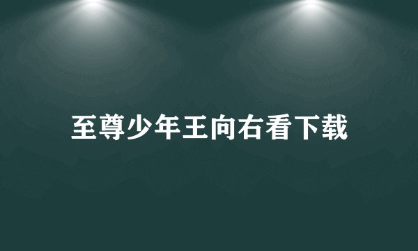 至尊少年王向右看下载