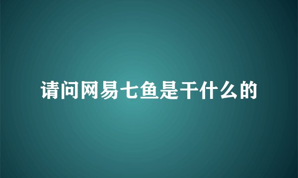 请问网易七鱼是干什么的