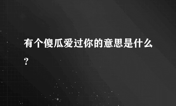 有个傻瓜爱过你的意思是什么？