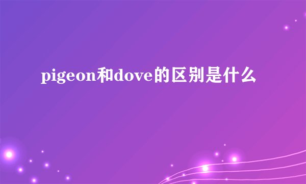 pigeon和dove的区别是什么