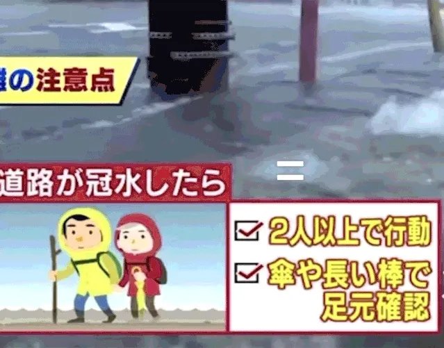 日本有史以来最强的台风是哪个？