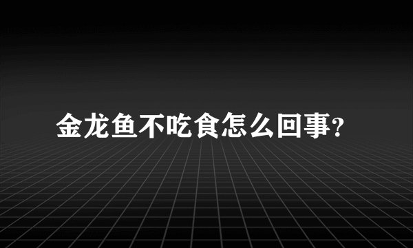 金龙鱼不吃食怎么回事？