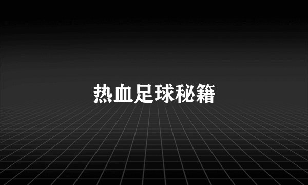 热血足球秘籍