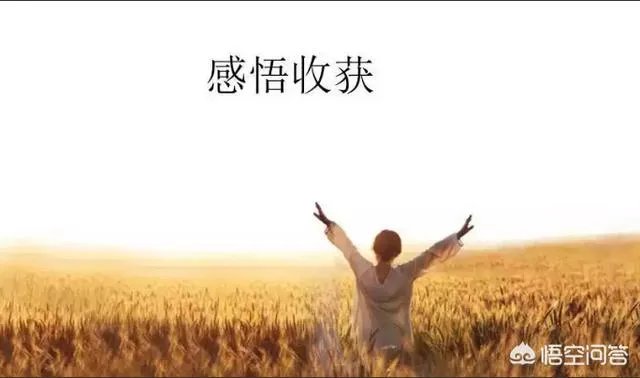 中国女足集体为输日本道歉:对不起球迷,绝非技不如人。你怎么看?