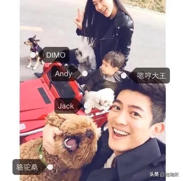 你知道哪些明星,在家养有什么样的宠物呢?