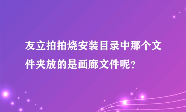 友立拍拍烧安装目录中那个文件夹放的是画廊文件呢？