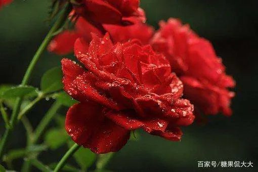 结婚10年,枕边人不是心上人,你怎么看?