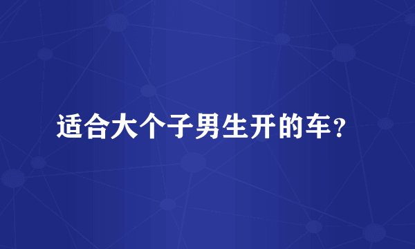 适合大个子男生开的车？