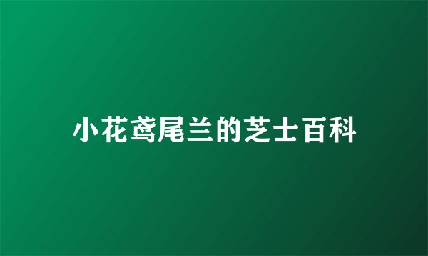 小花鸢尾兰的芝士百科