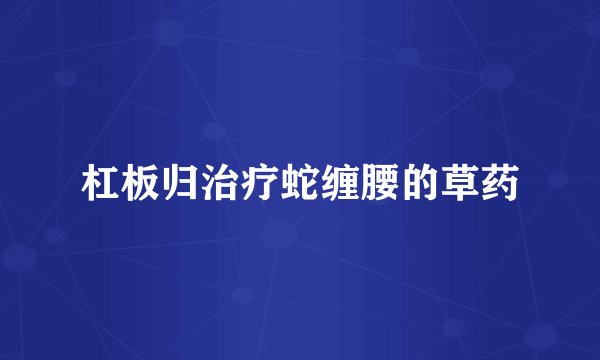 杠板归治疗蛇缠腰的草药