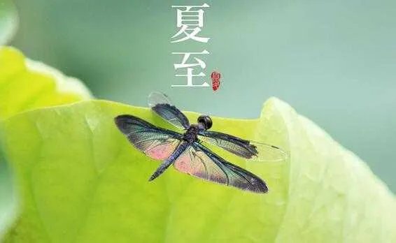 上联:冬至阳生夏至阴生,下联怎么对?