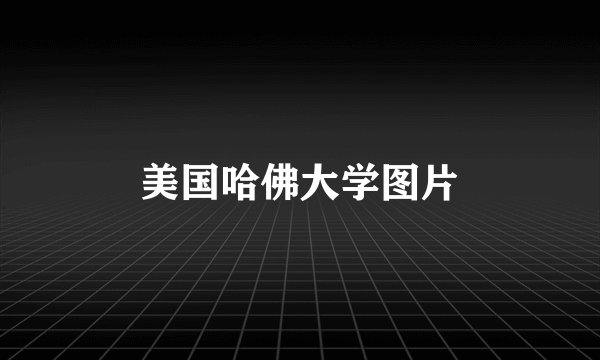 美国哈佛大学图片