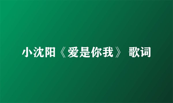 小沈阳《爱是你我》 歌词