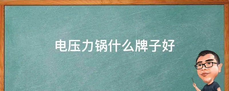 电压力锅什么牌子好