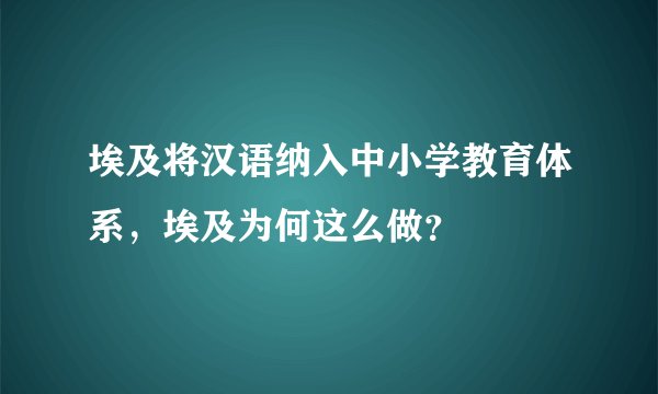 埃及将汉语纳入中小学教育体系，埃及为何这么做？