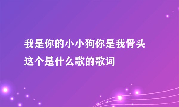 我是你的小小狗你是我骨头 这个是什么歌的歌词