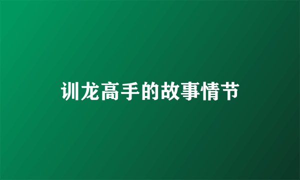 训龙高手的故事情节