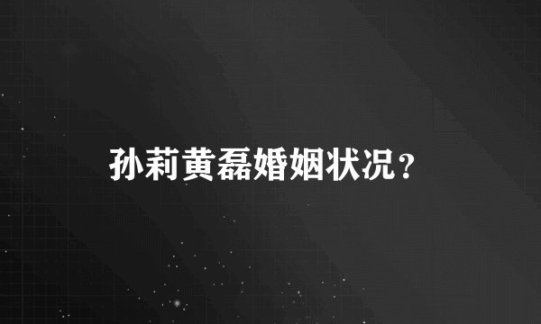 孙莉黄磊婚姻状况？