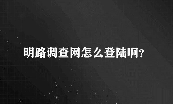 明路调查网怎么登陆啊？