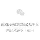 中国为何反对美韩半岛部署萨德?
