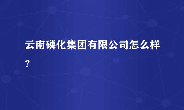云南磷化集团有限公司怎么样?