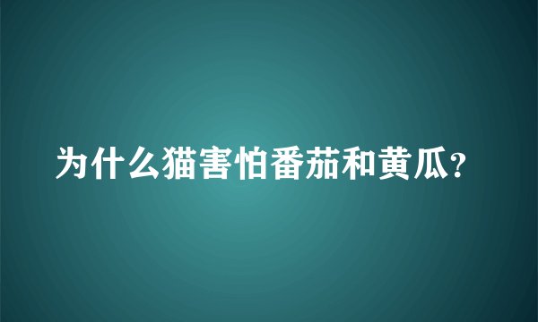 为什么猫害怕番茄和黄瓜？