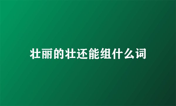 壮丽的壮还能组什么词