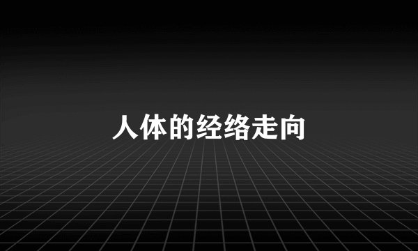 人体的经络走向
