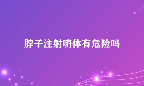 脖子注射嗨体有危险吗