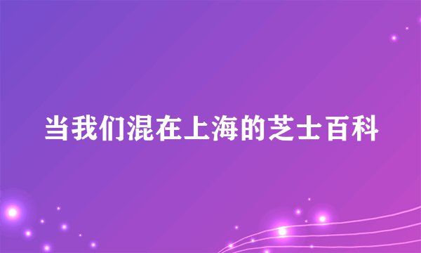 当我们混在上海的芝士百科